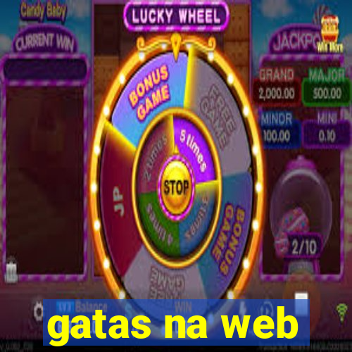 gatas na web